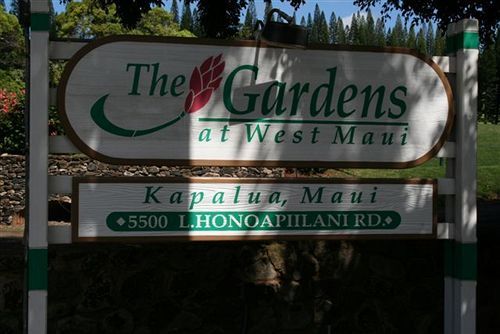 Gardens At West Maui Aparthotel Kapalua Exteriör bild